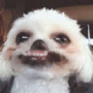 Meet your Posher, Sophia